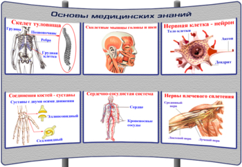 (К-ОБЖ-4) Основы медицинских знаний - Тематические модульные стенды - ОБЖ - Кабинеты охраны труда otkabinet.ru